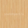 Дизайн плитка Armstrong Scala 55 PUR Wood 25003-142 Бежевый — купить в Москве в интернет-магазине Snabimport