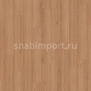 Дизайн плитка Armstrong Scala 55 PUR Wood 25065-149 коричневый — купить в Москве в интернет-магазине Snabimport