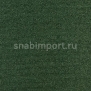 Ковровое покрытие Нева Тафт АСТРА 46 зеленый — купить в Москве в интернет-магазине Snabimport