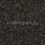 Ковровое покрытие Condor Carpets Atlantic 317 черный — купить в Москве в интернет-магазине Snabimport