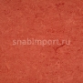 Натуральный линолеум Armstrong Marmorette LPX 121-008 (3,2 мм) — купить в Москве в интернет-магазине Snabimport