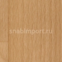 Коммерческий линолеум Tarkett Acczent Pro Beech 1 — купить в Москве в интернет-магазине Snabimport