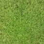 Искусственная трава Betap Tropez зеленый — купить в Москве в интернет-магазине Snabimport