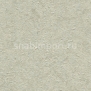 Виниловые обои Koroseal Chimayo C521-86 Серый — купить в Москве в интернет-магазине Snabimport