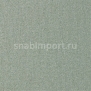 Ковровое покрытие Rols Castor 919 серый — купить в Москве в интернет-магазине Snabimport
