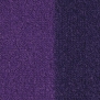 Ковровое покрытие Balsan Casual 860 Фиолетовый — купить в Москве в интернет-магазине Snabimport
