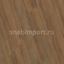 Виниловый ламинат Wineo BACANA WOOD Honey Oak CEI2672BA коричневый — купить в Москве в интернет-магазине Snabimport