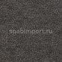 Ковровое покрытие Infloor Charme 745 — купить в Москве в интернет-магазине Snabimport