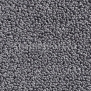 Ковровое покрытие Carpet Concept Concept 502 316 Серый — купить в Москве в интернет-магазине Snabimport