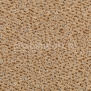 Ковровое покрытие Carpet Concept Concept 503 119 коричневый — купить в Москве в интернет-магазине Snabimport