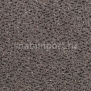 Ковровое покрытие Carpet Concept Concept 503 149 Серый — купить в Москве в интернет-магазине Snabimport