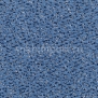Ковровое покрытие Carpet Concept Concept 503 416 синий — купить в Москве в интернет-магазине Snabimport