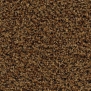 Грязезащитные покрытия Forbo Coral Brush 5716 коричневый — купить в Москве в интернет-магазине Snabimport