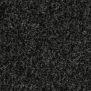 Грязезащитные покрытия Forbo Coral Brush 5721 чёрный — купить в Москве в интернет-магазине Snabimport