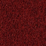 Грязезащитные покрытия Forbo Coral Brush 5723 Красный — купить в Москве в интернет-магазине Snabimport