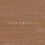 Транспортный линолеум для речного транспорта Tarkett Horizon Depot 002 коричневый — купить в Москве в интернет-магазине Snabimport