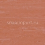 Транспортный линолеум для речного транспорта Tarkett Horizon Depot 004 Красный — купить в Москве в интернет-магазине Snabimport