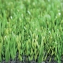 Искусственная трава для игры в регби Domo Varioslide S pro 65 зеленый — купить в Москве в интернет-магазине Snabimport