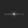 Светофильтр Rosco E-Color+ 186 Cosmetic Silver Rose чёрный — купить в Москве в интернет-магазине Snabimport