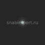 Светофильтр Rosco E-Color+ 190 Cosmetic Emerald чёрный — купить в Москве в интернет-магазине Snabimport