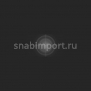 Светофильтр Rosco E-Color+ 221 Blue Frost чёрный — купить в Москве в интернет-магазине Snabimport