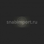 Светофильтр Rosco E-Color+ 402 Soft Frost чёрный — купить в Москве в интернет-магазине Snabimport