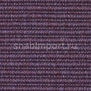 Ковровое покрытие Carpet Concept Eco 2 67165 Фиолетовый — купить в Москве в интернет-магазине Snabimport