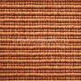Ковровое покрытие Carpet Concept Eco 2 6722 оранжевый — купить в Москве в интернет-магазине Snabimport