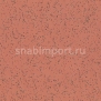 Противоскользящий линолеум Polyflor Polysafe Ecomax 4624 Mace — купить в Москве в интернет-магазине Snabimport