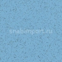 Противоскользящий линолеум Polyflor Polysafe Ecomax 4625 Chicory — купить в Москве в интернет-магазине Snabimport
