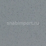Противоскользящий линолеум Polyflor Polysafe Ecomax 4632 Anise Grey — купить в Москве в интернет-магазине Snabimport