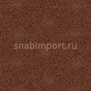 Ковровое покрытие Ege Metropolitan RF5295457 коричневый — купить в Москве в интернет-магазине Snabimport