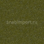 Ковровое покрытие Ege Metropolitan RF5295505 зеленый — купить в Москве в интернет-магазине Snabimport