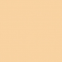 Краска Oikos Фасадная линия ELASTRONG VENEZIA FINE Elas-fine-CP4870 желтый — купить в Москве в интернет-магазине Snabimport