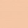 Краска Oikos Фасадная линия ELASTRONG VENEZIA FINE Elas-fine-EX1560 Бежевый — купить в Москве в интернет-магазине Snabimport