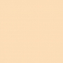Краска Oikos Фасадная линия ELASTRONG VENEZIA FINE Elas-fine-EX1580 Бежевый — купить в Москве в интернет-магазине Snabimport