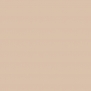 Краска Oikos Фасадная линия ELASTRONG VENEZIA FINE Elas-fine-EX1860 коричневый — купить в Москве в интернет-магазине Snabimport