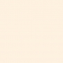 Краска Oikos Фасадная линия ELASTRONG VENEZIA FINE Elas-fine-EX1880 Бежевый — купить в Москве в интернет-магазине Snabimport
