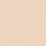 Краска Oikos Фасадная линия ELASTRONG VENEZIA FINE Elas-fine-EX2080 Бежевый — купить в Москве в интернет-магазине Snabimport