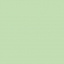 Краска Oikos Фасадная линия ELASTRONG VENEZIA FINE Elas-fine-EX2930 зеленый — купить в Москве в интернет-магазине Snabimport