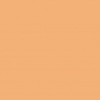 Краска Oikos Фасадная линия ELASTRONG VENEZIA FINE Elas-fine-TL842 оранжевый — купить в Москве в интернет-магазине Snabimport
