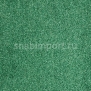 Ковровое покрытие ITC Evolve 26 зеленый — купить в Москве в интернет-магазине Snabimport