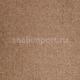 Ковровое покрытие ITC Evolve 43 коричневый — купить в Москве в интернет-магазине Snabimport