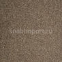 Ковровое покрытие ITC Evolve 49 коричневый — купить в Москве в интернет-магазине Snabimport