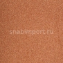 Ковровое покрытие ITC Evolve 65 коричневый — купить в Москве в интернет-магазине Snabimport