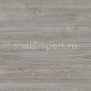 Коммерческий линолеум Polyflor Expona Flow PUR 9826 Silver Oak — купить в Москве в интернет-магазине Snabimport
