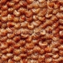 Ковровое покрытие Condor Carpets Fact 212 оранжевый — купить в Москве в интернет-магазине Snabimport