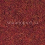 Иглопробивной ковролин Finett 6 4406 красный — купить в Москве в интернет-магазине Snabimport