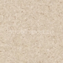 Токорассеивающий линолеум Polyflor Finesse SD 5860 Moonscape