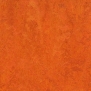 Натуральный линолеум Forbo Marmoleum Fresco-3126 оранжевый — купить в Москве в интернет-магазине Snabimport